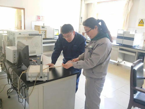 千里保试车 巾帼竞风流 记公司最美女工 义马气化厂外派技术服务人员 王辉